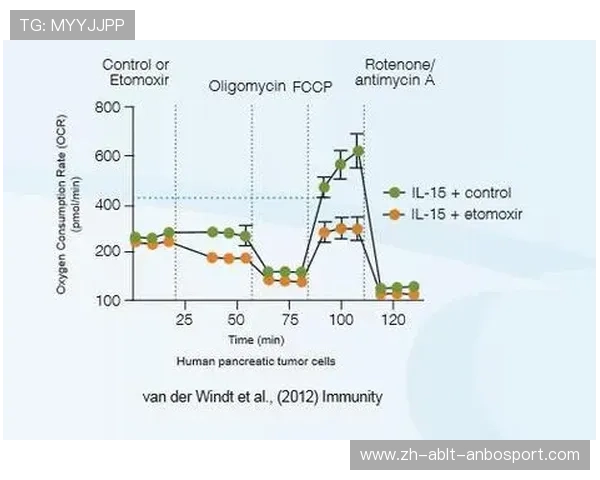 足球压力测试机制对智能化系统在高并发场景下表现的检验价值